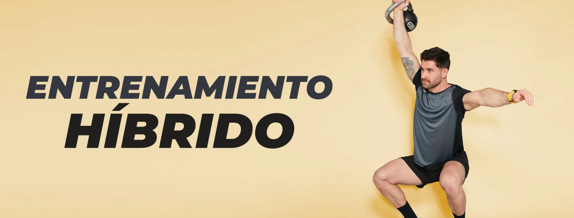 PLAN HIBRIDO